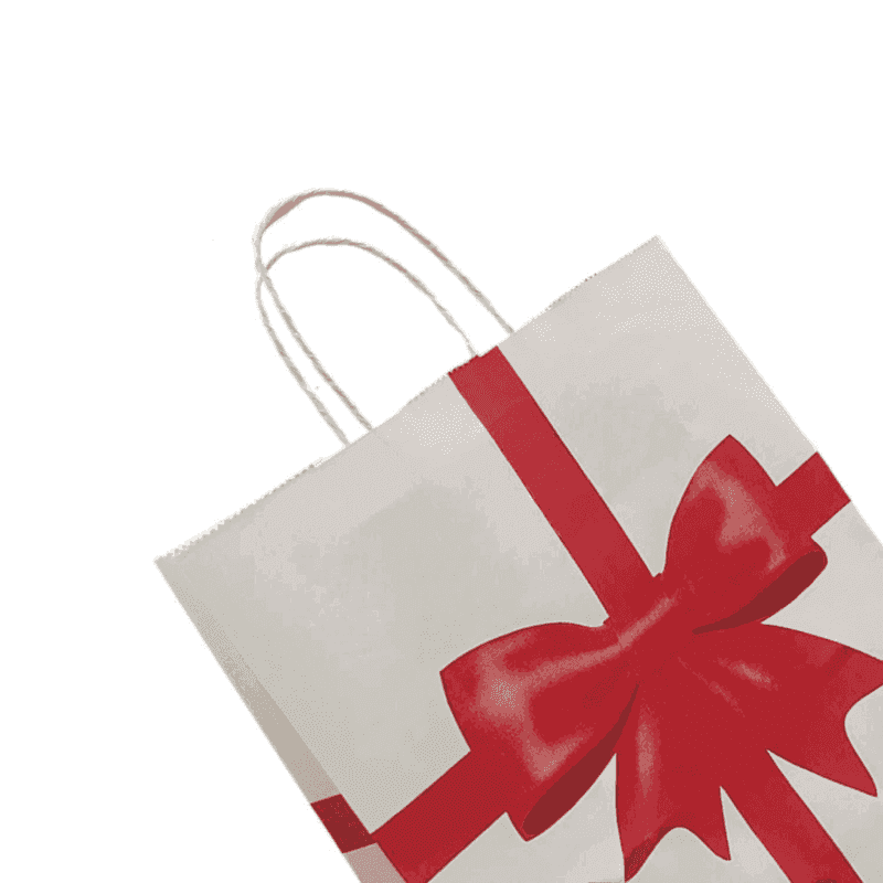 Kraft Twist Handle Bag with Bow 25x31x12cm - 2